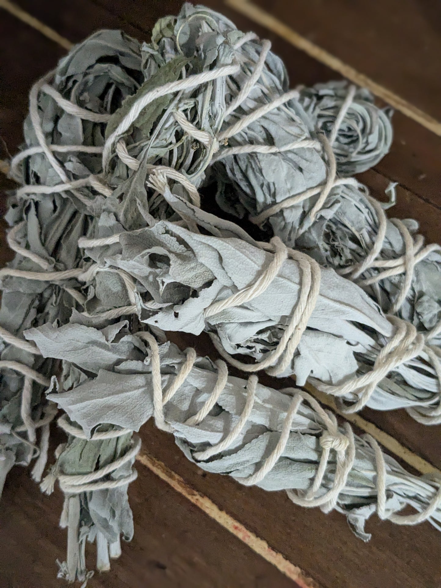 White sage bundle