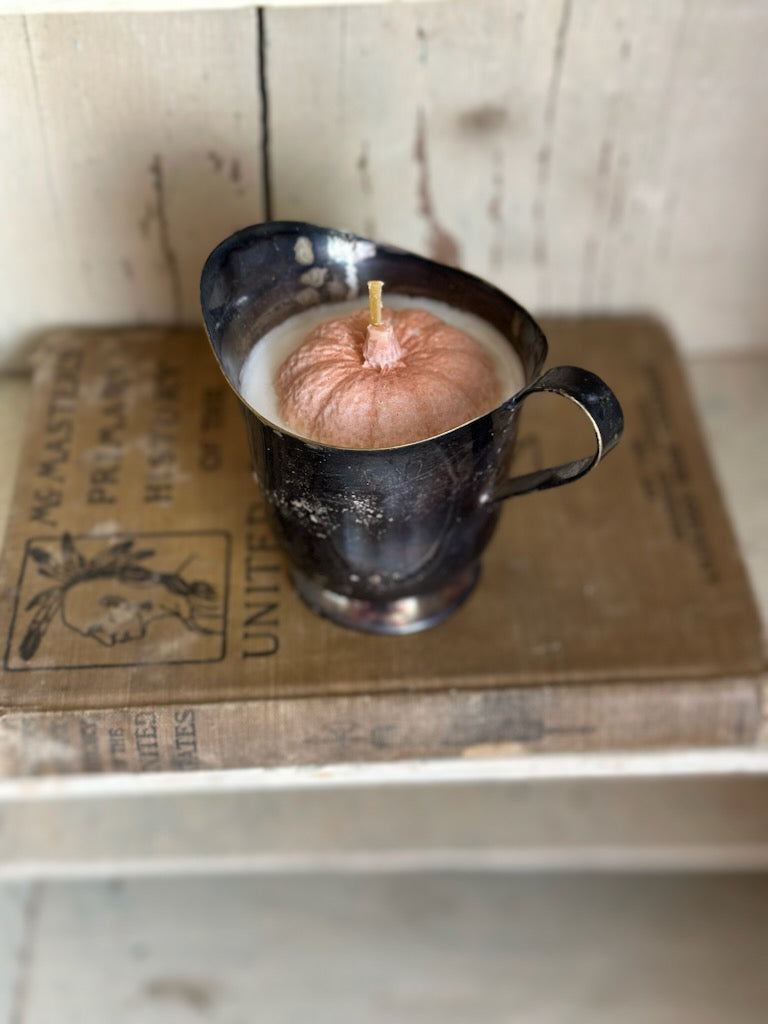 Pumpkins and Pour on the Farm