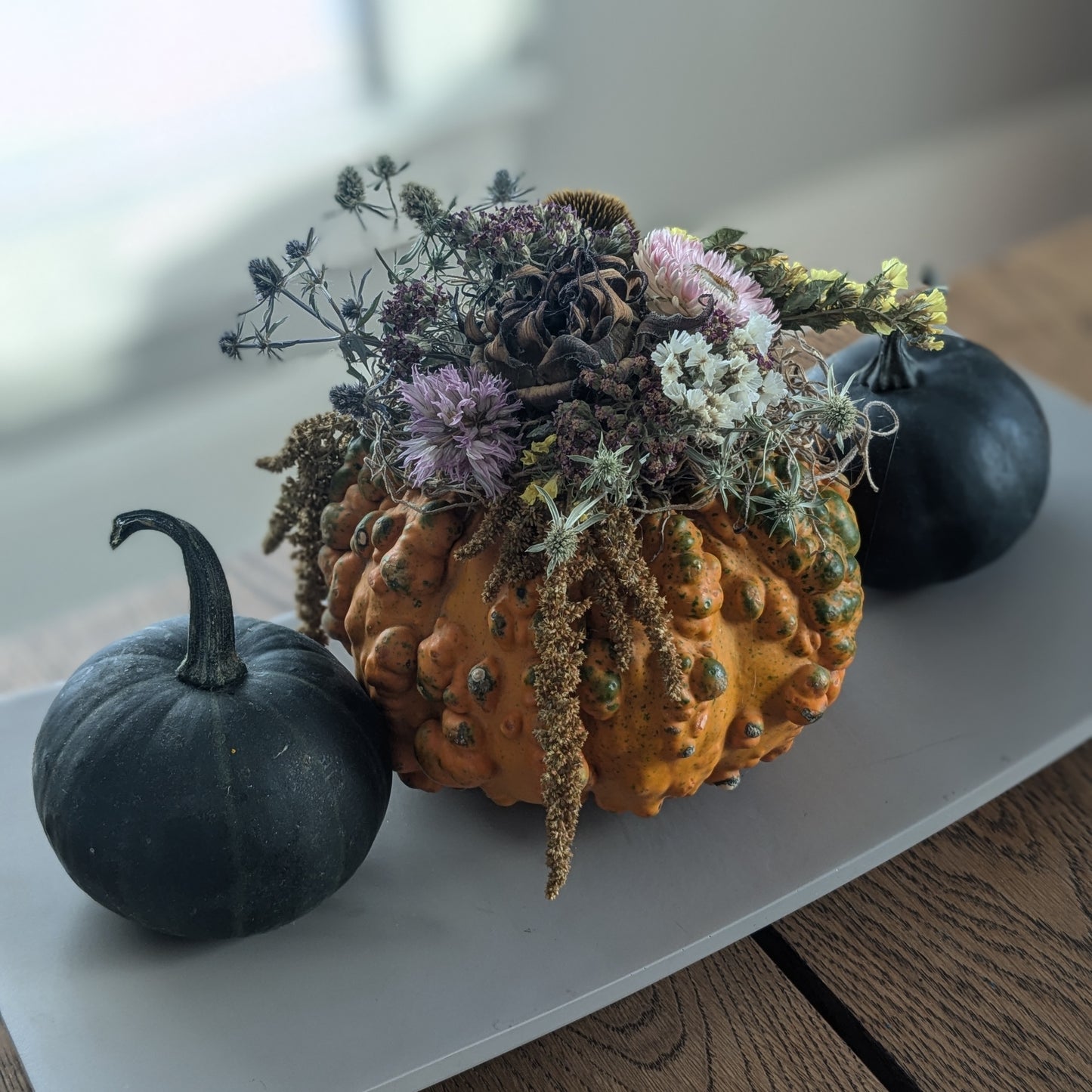 Pumpkins and Pour on the Farm
