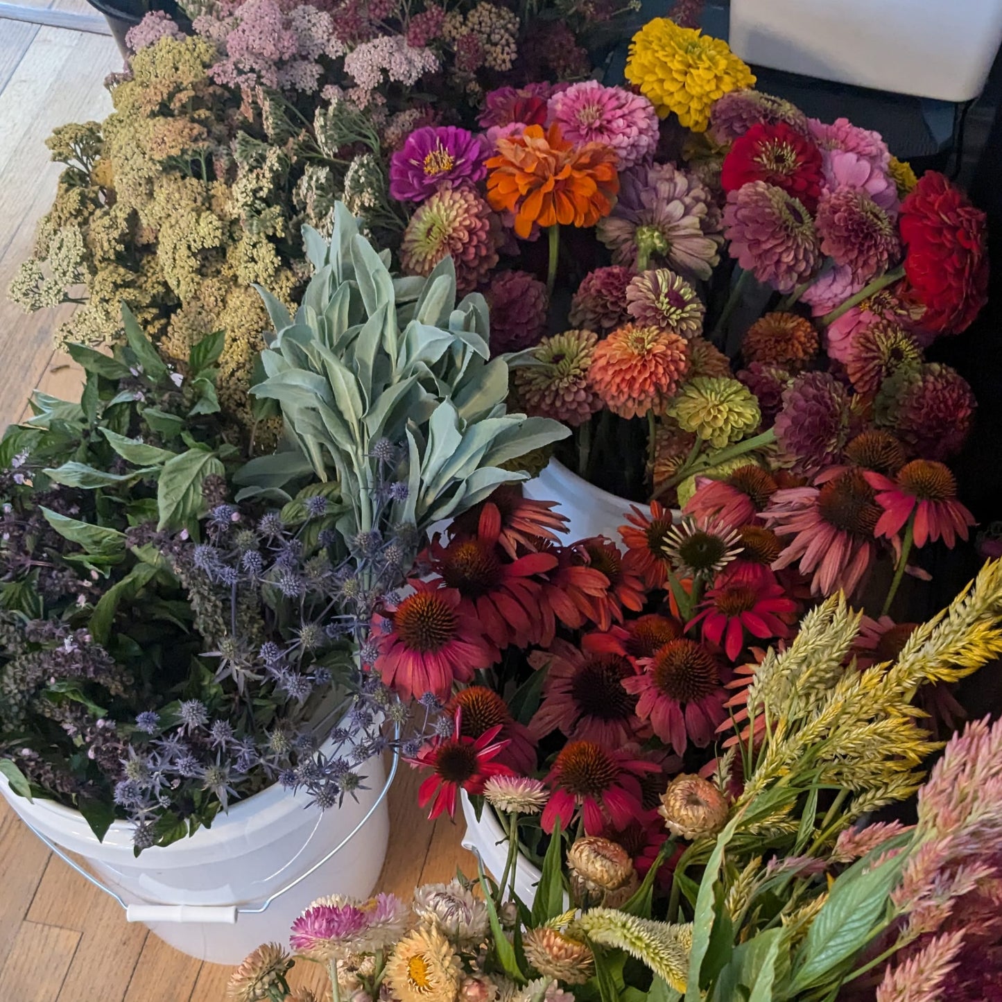 Bucket of Blooms