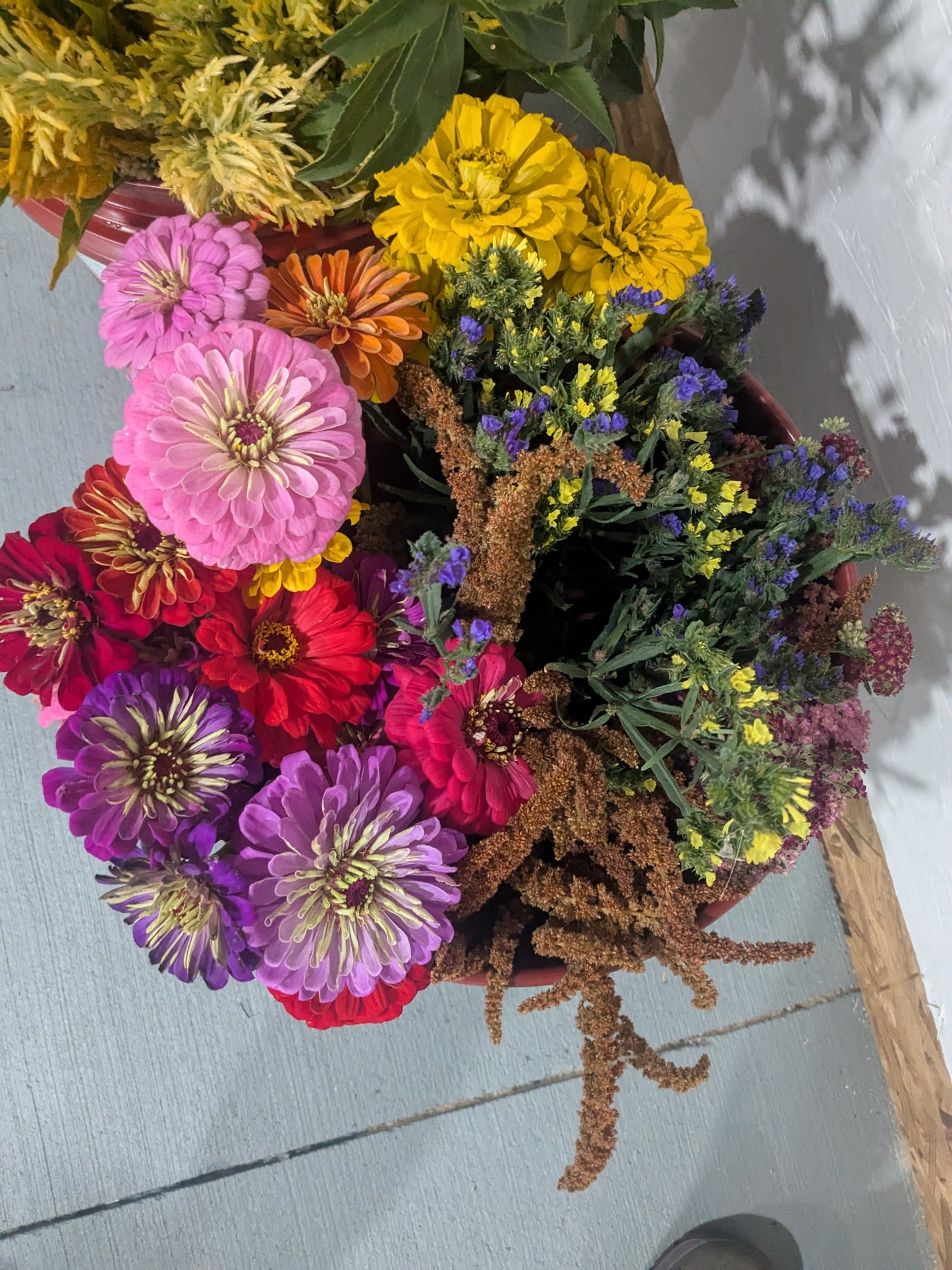 Bucket of Blooms